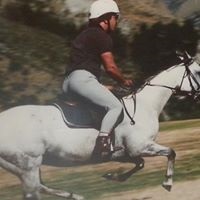 Bart Tarulli
