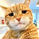 simonskitty