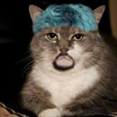 Ptitseed