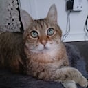 mariaplacidoteddy