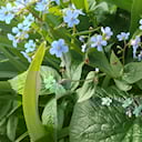 PlayerТатьяна