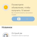 Solt