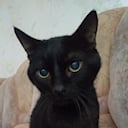 Саша Лавалетт