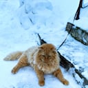 Олег 