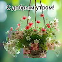 Стрелец