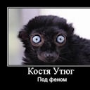 Костя Утюг