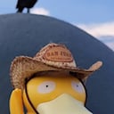 El pato psyduck 