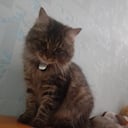 Марина